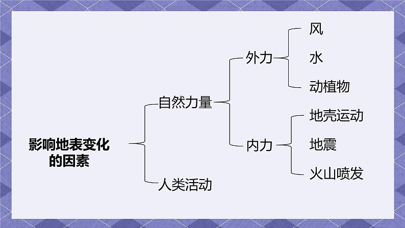 2.7《总结我们的认识》PPT课件+教案+视频素材 教科版（2019）科学五上05