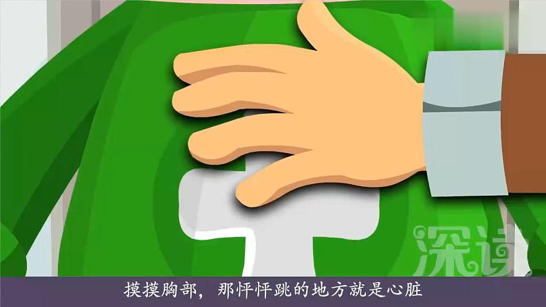 4.3《心脏和血液》PPT课件+教案+视频素材 教科版（2019）科学五上05