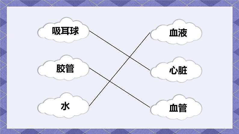 4.3《心脏和血液》PPT课件+教案+视频素材 教科版（2019）科学五上07