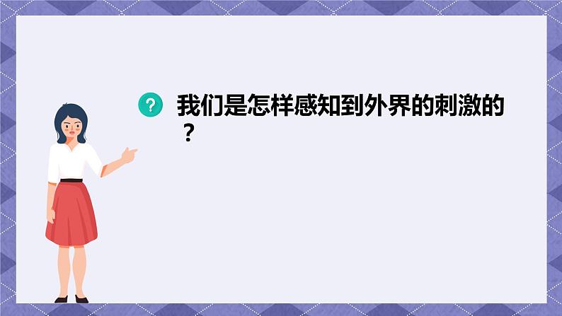 4.5《身体的“联络员”》PPT课件+教案+视频素材 教科版（2019）科学五上04