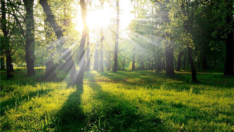 1.2《光是怎样传播的》PPT课件+教案+视频素材 教科版（2019）科学五上01