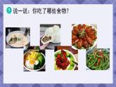 2.4《一天的食物》 课件+教案 教科版科学四年级上册