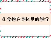 2.8《食物在身體里的旅行》 課件+教案 教科版科學(xué)四年級(jí)上冊(cè)