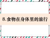 2.8《食物在身体里的旅行》 课件+教案 教科版科学四年级上册