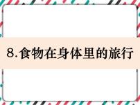 小学科学教科版 (2017)四年级上册8.食物在身体里的旅行完美版课件ppt