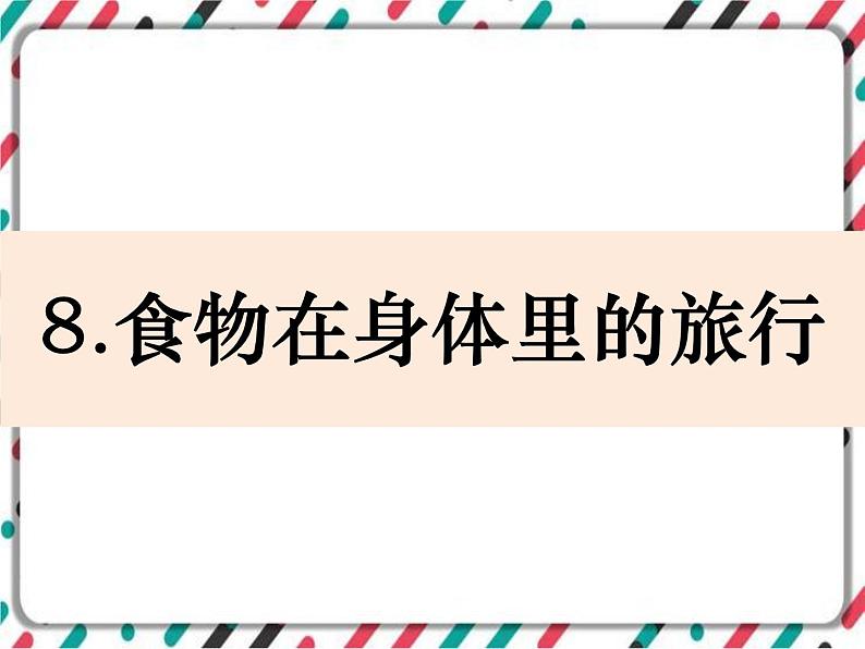 2.8《食物在身体里的旅行》 课件+教案 教科版科学四年级上册01