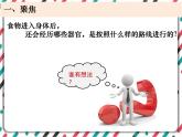 2.8《食物在身體里的旅行》 課件+教案 教科版科學(xué)四年級(jí)上冊(cè)