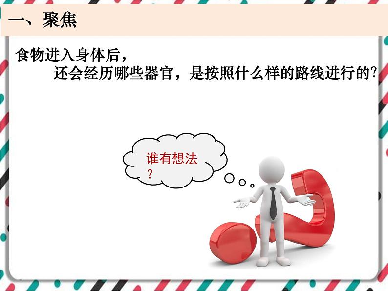 2.8《食物在身体里的旅行》 课件+教案 教科版科学四年级上册02