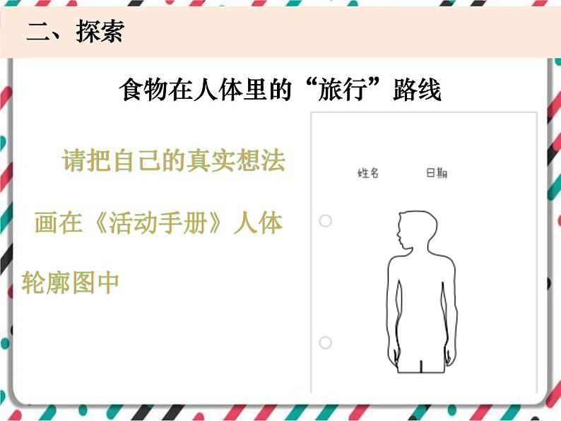 2.8《食物在身体里的旅行》 课件+教案 教科版科学四年级上册03