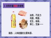 2.5《食物中的营养》 课件+教案  教科版科学四年级上册