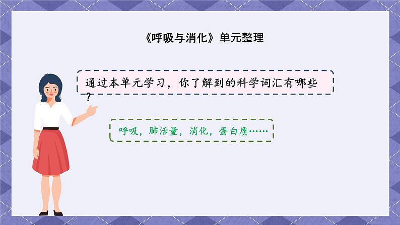 第二单元《呼吸和消化》单元整理 课件第3页