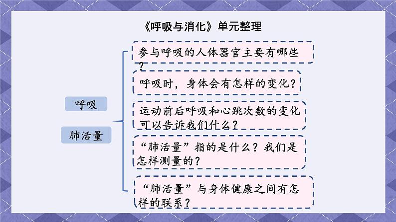 第二单元《呼吸和消化》单元整理 课件第4页