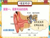 四年级上册科学-1.4 我们是怎样听到声音的  课件+素材 教科版