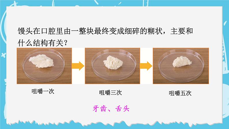 四年级上册科学-2.7 食物在口腔里的变化  课件+素材 教科版06