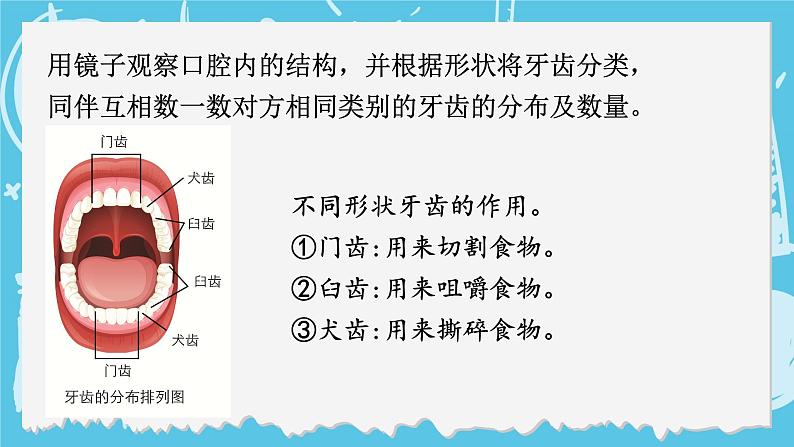 四年级上册科学-2.7 食物在口腔里的变化  课件+素材 教科版07