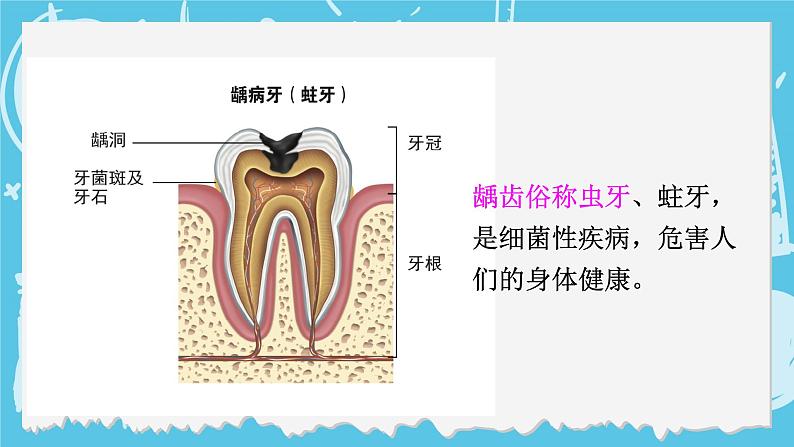 四年级上册科学-2.7 食物在口腔里的变化  课件+素材 教科版08