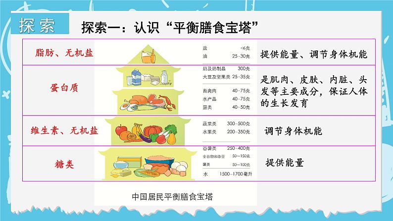 四年级上册科学-2.6 营养要均衡  课件+素材 教科版04