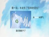 教科版3上科学 1.8 它们发生了什么变化 课件+教案+练习+任务单+素材
