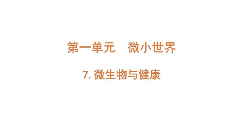 2022-2023 教科版科学 六年级上册 1-7《微生物与健康》 课件01