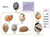 2022-2023 教科版科学 六年级上册 1-7《微生物与健康》 课件