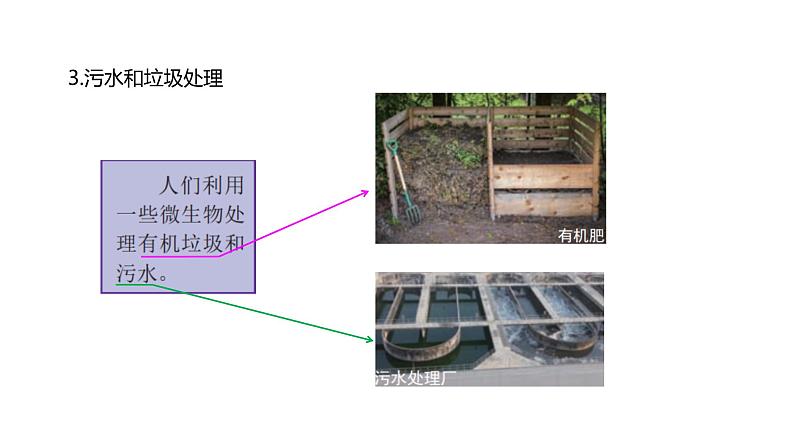 2022-2023 教科版科学 六年级上册 1-7《微生物与健康》 课件06