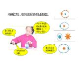2022-2023 教科版科学 六年级上册 2-2 《昼夜交替现象》 课件