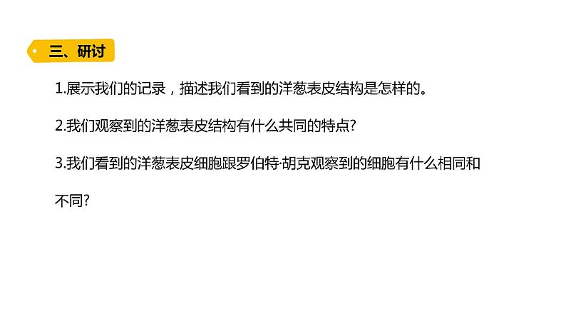 2022-2023 教科版科学 六年级上册 1-4 《观察洋葱表皮细胞》 课件第8页