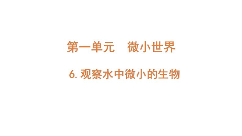 2022-2023 教科版科学 六年级上册 1-6 《观察水中微小的生物》 课件01