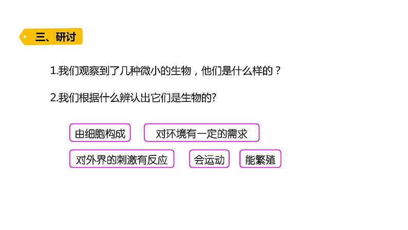 2022-2023 教科版科学 六年级上册 1-6 《观察水中微小的生物》 课件06