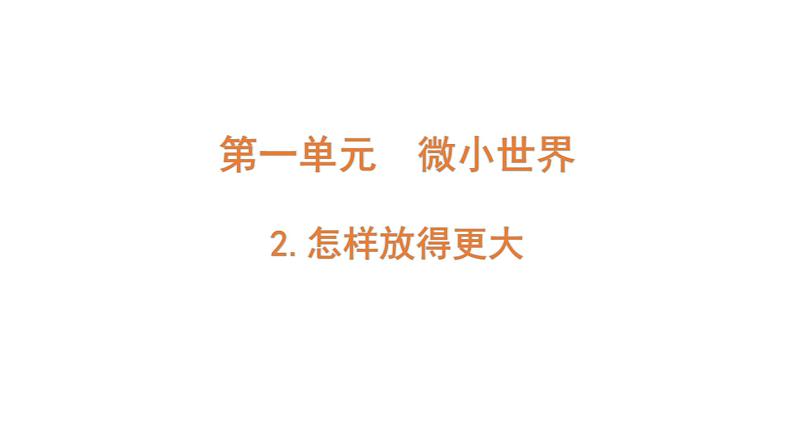 2022-2023 教科版科学 六年级上册 1-2 《怎样放得更大》 课件第1页