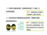 2022-2023 教科版科学 六年级上册 1-2 《怎样放得更大》 课件