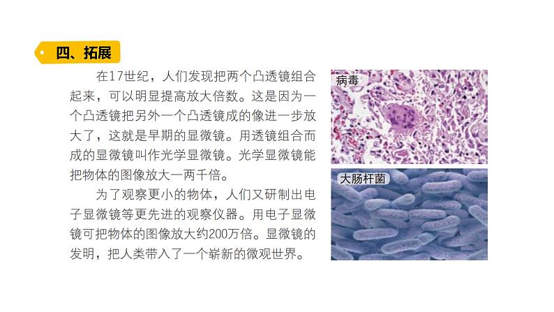 2022-2023 教科版科学 六年级上册 1-2 《怎样放得更大》 课件第8页