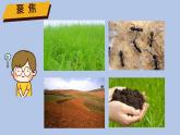 小学科学 二年级上册《我们的地球家园》单元《土壤—动植物的乐园》微课PPT课件