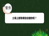 【核心素养】二年级上册科学第二节土壤——动植物的乐园课件＋教案