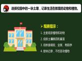 【核心素养】二年级上册科学第二节土壤——动植物的乐园课件＋教案
