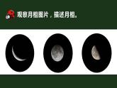 【核心素养】二年级上册科学第四节观察月相课件＋教案
