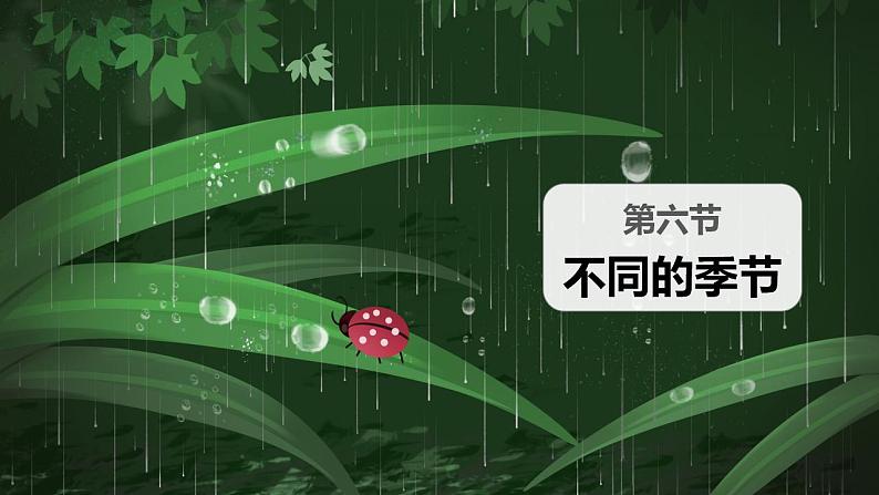 【核心素养】二年级上册科学第六节不同的季节课件＋教案02