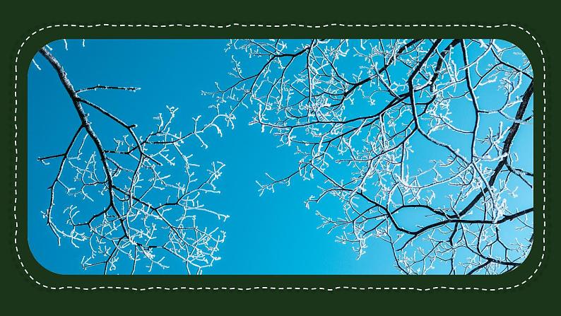 【核心素养】二年级上册科学第六节不同的季节课件＋教案07