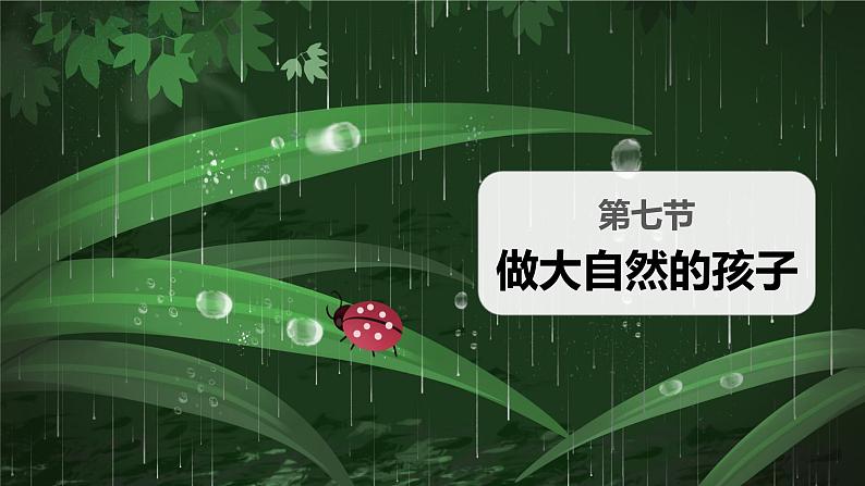 【核心素养】二年级上册科学第七节+做大自然的孩子课件＋教案01