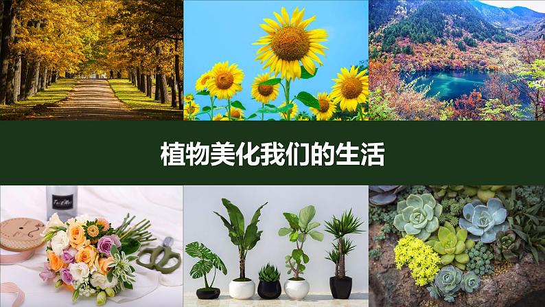 【核心素养】二年级上册科学第七节+做大自然的孩子课件＋教案06