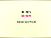 小学科学教科版六年级上册第一单元第5课《观察更多的生物细胞》课件（2022新版）