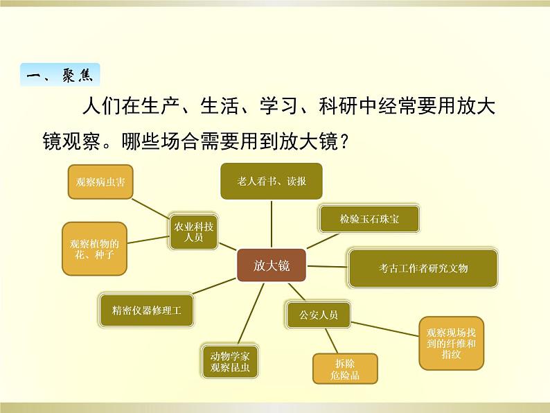 小学科学教科版六年级上册第一单元第1课《放大镜》课件（2022新版）02