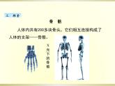 小学科学教科版五年级上册第四单元第2课《身体的运动》课件（2022新版）