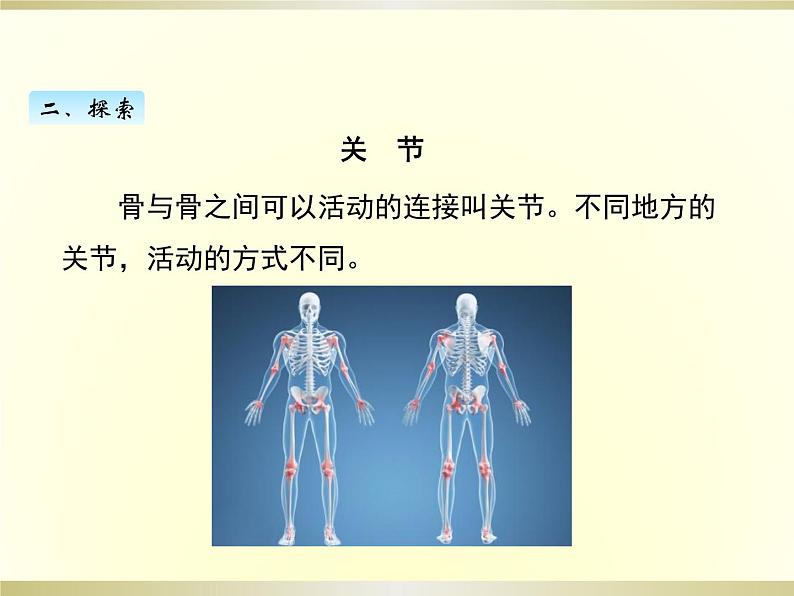 小学科学教科版五年级上册第四单元第2课《身体的运动》课件（2022新版）第5页