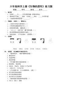 科学六年级上册第2单元 遗传与变异5 生物的遗传课后复习题