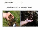 小学科学 教科版 四年级《观察土壤》课件
