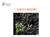 小学科学 教科版 四年级《观察土壤》课件