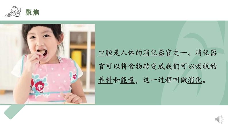 小学科学 教科版 四年级上册《食物在口腔里的变化》课件04