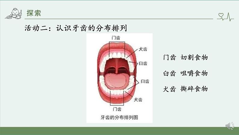 小学科学 教科版 四年级上册《食物在口腔里的变化》课件07