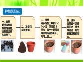 小学科学 教科版 四年级下 种植凤仙花 PPT课件